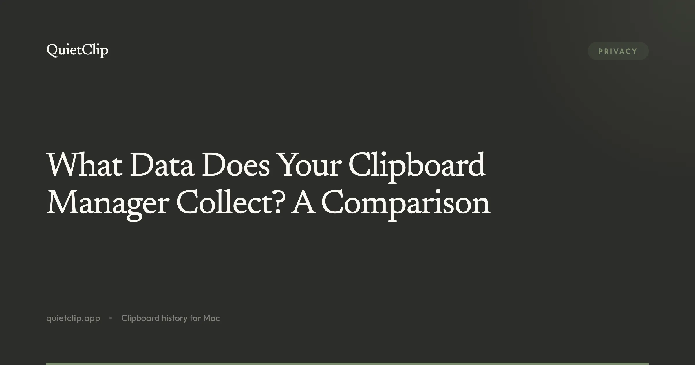 What Data Does Your Clipboard Manager Collect? A Comparison